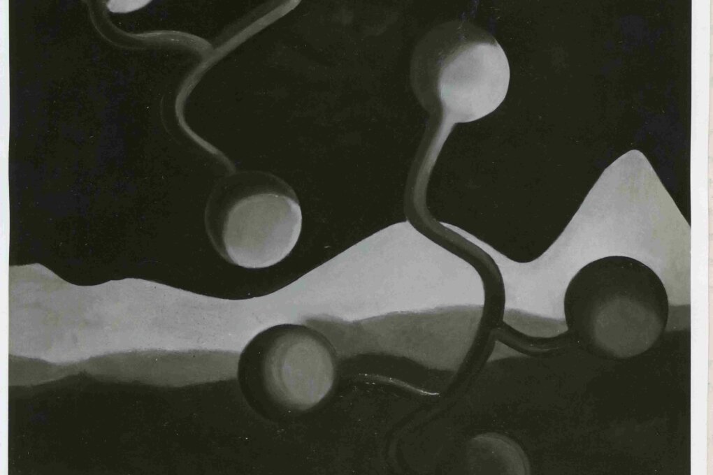 A. Pasque a&nbsp;M. Bucaille